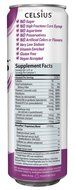 Celsius Green Tea, Peach Mango, 12 Ounce (Pack of 12) N87