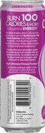 Celsius Green Tea, Peach Mango, 12 Ounce (Pack of 12) N102