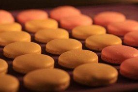 Round Circle Silicone Mat Macarons 48 Holes Jelly Fondant Cake Chocolate Mold Bakeware Silicone Tool Baking Pan N4