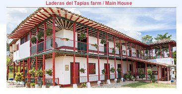 Laderas del Tapias Castillo Natural Whole Bean Colombian Coffee N28