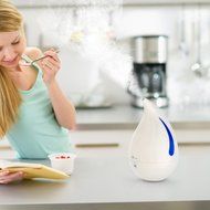 Cool Mist Humidifier, TaoTronics Ultrasonic Air Humidifers with One Touch Control, Low Water Protection, Waterdrop...