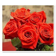 EverTrust(TM) hot fashion diy diamond embroidery flowers rose europe full square resin particle mosaic landscape...