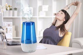 PureGuardian 12L Output per Day Ultrasonic Cool Mist Humidifier, Personal Humidifier, Room Humidifier, Desktop... N2