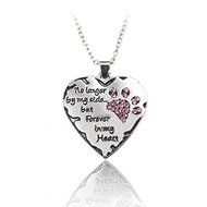 Xmas Love Wedding Crystal Cat Dog Pet Paws Claw Footprint Heart Pendant Necklace N3