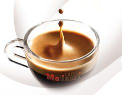18 Molinari BIO 100% Arabica Organic &amp; Fair Trade E.S.E. espresso pods
