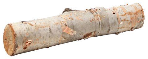 Gold Leaf Design Group 4271 Individual Natural Decorative Birch Log, 24-Inch Long by 4 to 6-Inch Diameter