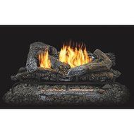Kozy World, GLD2460R Fireplace Log Set with Remote, Vent-Free, Dual Fuel, 24 Inch