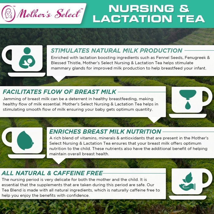 Nursing & Lactation Tea by Mother&rsquo;s Select to Increase Breast Milk Supply, All Natural, Caffeine-Free Nursing...