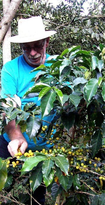Don Gringo&acute;s Ground French Dark Roast Coffee Peruvian Andes&acute; Gourmet Arabica Selection. Single Origin Blend, Organically... N15