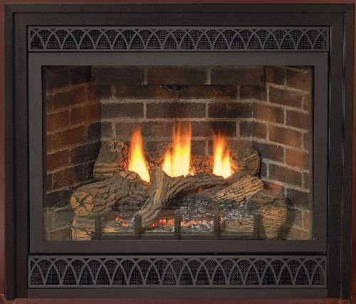 48" Direct-Vent LP Intermittent Pilot Control Fireplace with Blower