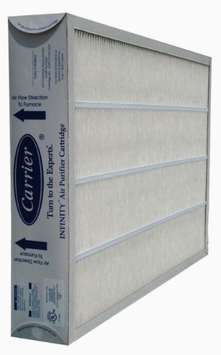 16x25x3.5 (17.13x24.5x3.63) Payne Infinity Original Filter N2