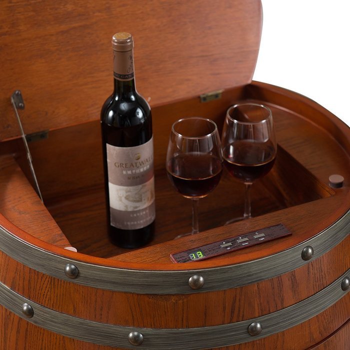 STG Wine BAR Storage Cabinet Wine Rack Dual Zone Thermoelectric Freestanding Wine Cooler Cellar Chiller Refrigerator... N2