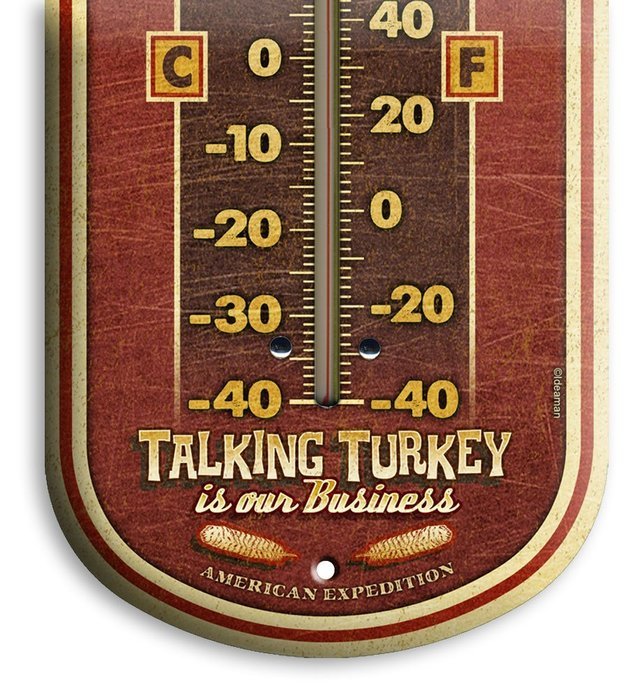 American Expedition Tin Thermometer - Bear's Den Cabin Rentals N23