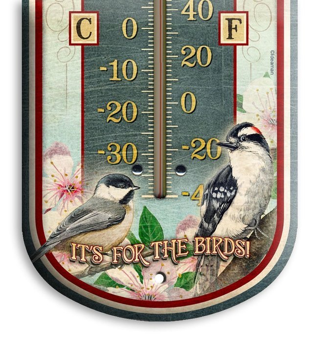 American Expedition Tin Thermometer - Bear's Den Cabin Rentals N24