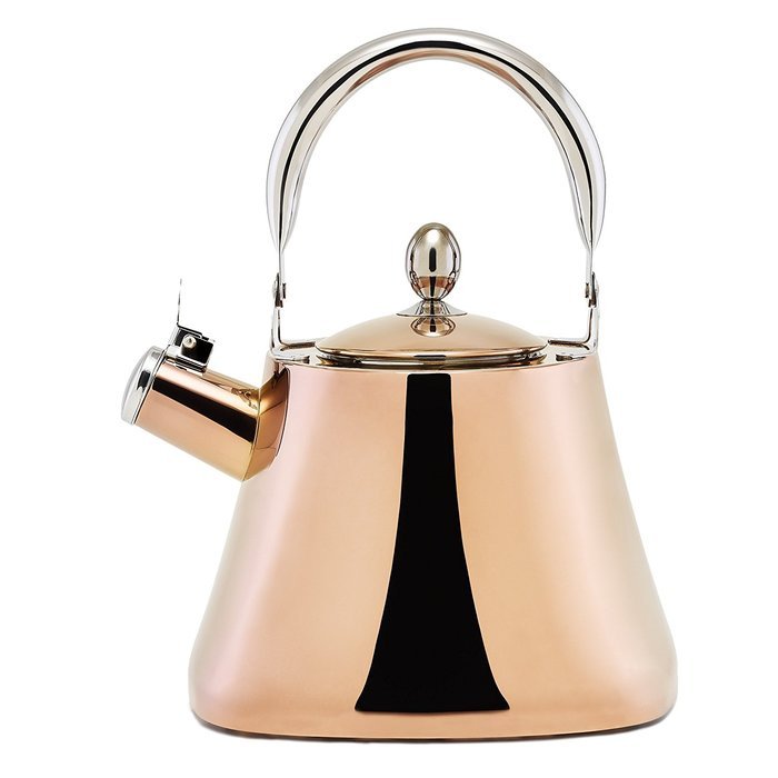 Old Dutch 1882 Calisto Tea Kettle, 3.1 quart/3.0 L, Titanium N2