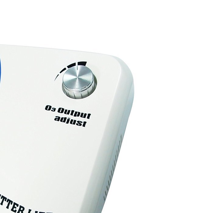 Ozone Generator 500mg Per Hour with Built in Air Pump Timer 220V N2