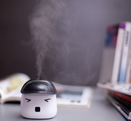 INST LeBao Mini Humidifier with USB Cable, Ideal for Bedrooms, Living Rooms, etc. (Black 01) N8
