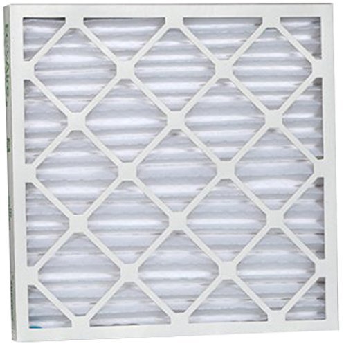 Eco-Aire P25S.021836 MERV 13 Pleated Air Filter, 18 x 36 x 2"