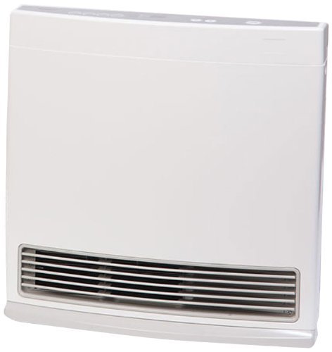 Propane Heater Wall Mount Fan Stainless Steel Indoor Warm 25 Watt 24000 BTU 1000 SQ FT NEW
