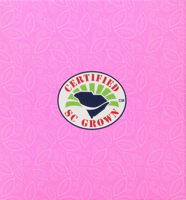 American Classic Pyramid Teabags, Rockville Raspberry, 12 Count N4