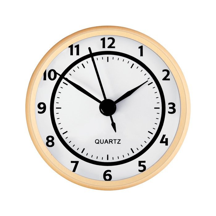 2-3/4" White Hygrometer Insert N4