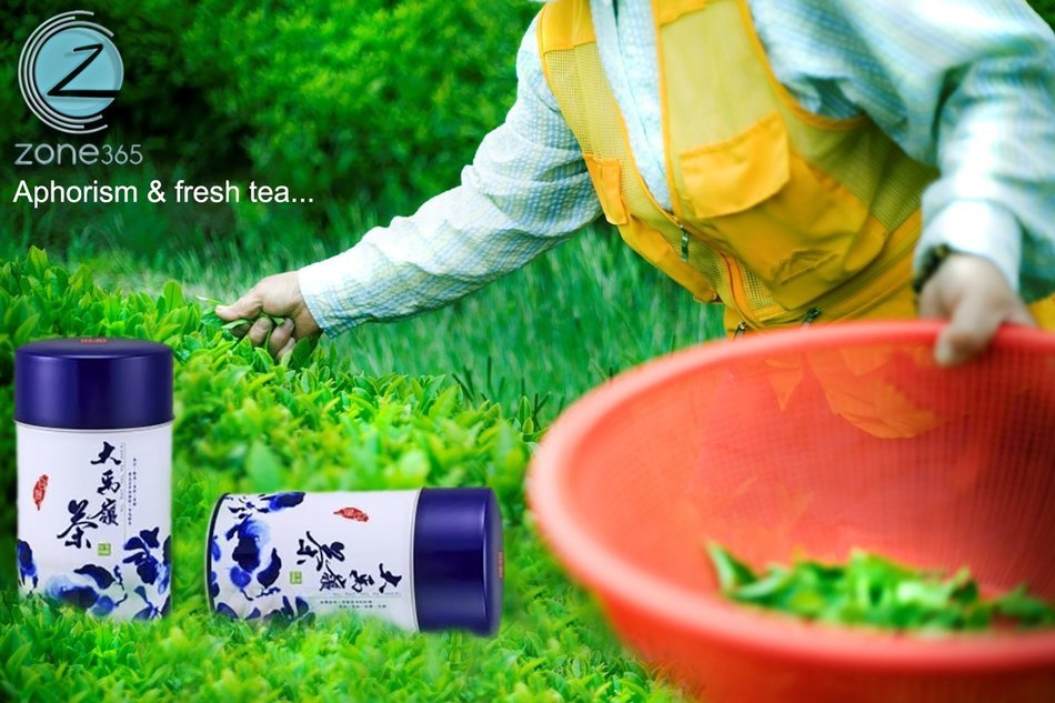 Oolong Tea High Mountain| Healthy Beverage | Loose Leaf for Infusers | Organic Chai | Delicious Hot or Cold Drink... N8