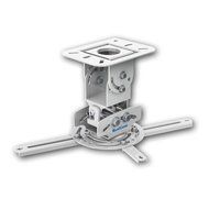 QualGear PRB-717-WHT Universal Ceiling Mount Projector Accessory N19