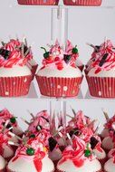 YestBuy&reg; 4 Tier Maypole Square Wedding Party Tree Tower Acrylic Cupcake Display Stand (15.1 Inches)&shy; N21