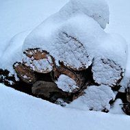 Glorious Montana Original 8250 Premium Log Rack Cover, 8 Feet