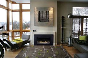 Loft Small Direct-Vent Fireplace Insert DVL25IN33N - Natural Gas