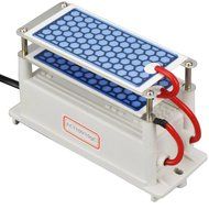ATWFS Ceramic Ozone Generator 110V 10g/H Double Ceramic Plate Air Purifier Ozonizer N4