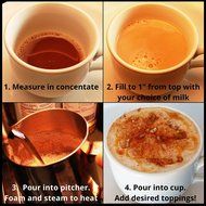 Organic Black Tea, Spicy Masala Chai Concentrate - 1/2 Gallon N5