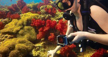 GoPro Hero4 Hero 4 12MP Full HD 4K 30fps 1080p 120fps Built-In Wi-Fi Waterproof Wearable Camera Black Adventure... N12
