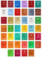 Stash Tea Bags Sampler Assortment Includes Mints (40 Count) by Variety Fun N2