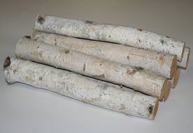 Birch Bundle of Logs
