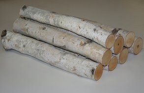 Birch Bundle of Logs N2