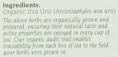 Celebration Herbals Uva Ursi Herbal Tea -- 24 Tea Bags N2