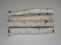 Birch Bundle of Logs N3