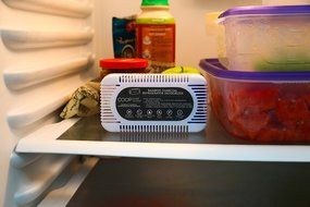 COOP HOME GOODS &ndash; Natural Bamboo Activated Charcoal Refrigerator Deodorizer Air Purifier Odor Absorber for Home...