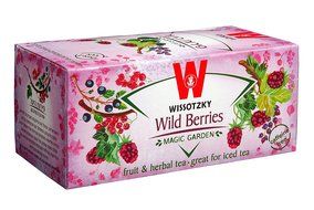 Wissotzky Mango and Passion Fruit, 1.55-Ounce Boxes (Pack of 6) N11