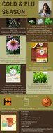 Traditional Medicinals Flu &amp; Cold Season Teas 48 count tea bags Throat Coat Throat Coat Lemon Echinacea and Echinacea...