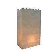 Quasimoon White Paper Luminaries / Luminary Lantern Bags Path Lighting (10 PACK) by PaperLanternStore