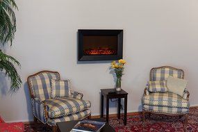 Fire Sense Black Wood Wall Mounted Electric Fireplace