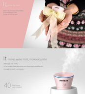PYDDZH Mini Humidifier USB Wire Controller and Pen Shape, Cool Mist Microporous Type, Travel Humidifier - USB... N10