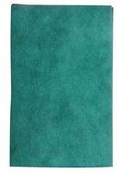 WEB Eco Filter Replacement Pad, 6 Year N2