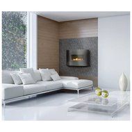 Napoleon WHVF24N Plazmafire VF24 Vent Free Natural Gas Fireplace up to 9 000 BTUs with Reflective Radiant Panel... N2