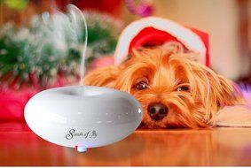 SoJ Ultrasonic Aromatherapy Diffuser (White), Elegant and Simple, Cool Mist Humidifier, Essential Oil Fragrance... N3