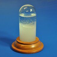 6-inch Admiral FitzRoy Storm Glass with Hardwood Base N2