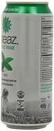 Steaz Organic Iced Teaz, Green Tea with Mint, 16-Ounce Cans (Pack of 12) N3