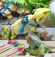 Bargain World Generic Adjustable Reptile Lizard Harness Leash Pet Leash N3